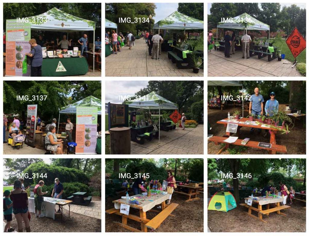 a grid of photos of interactive tables highlighting invasive species at the Missouri State Fair