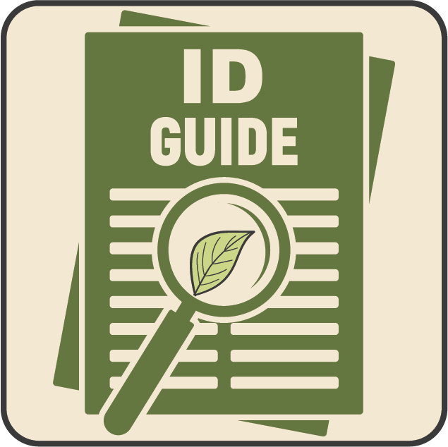 ID guide icon