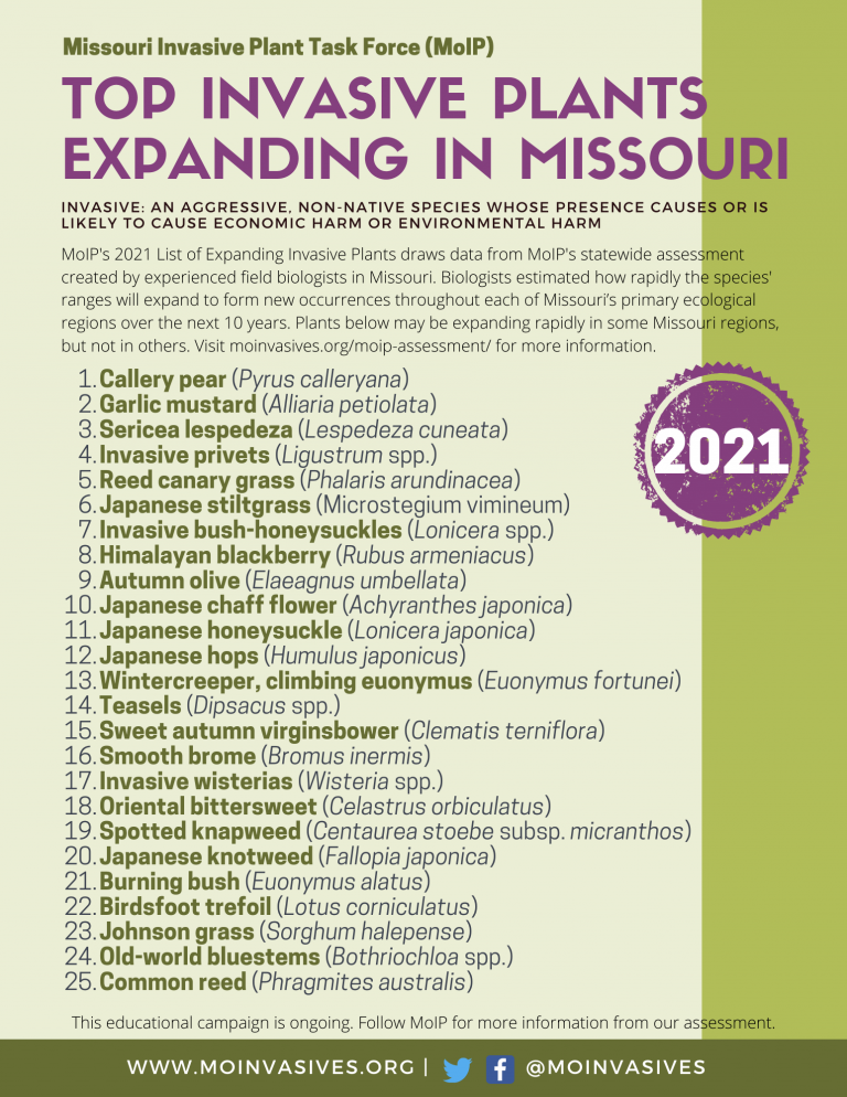 list of "Top Invasive Plants Expanding in Missouri" with 2021 stamp